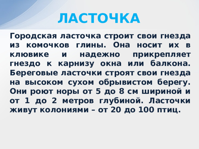 ЛАСТОЧКА Городская ласточка строит свои гнезда из комочков глины. Она носит их в клювике и надежно прикрепляет гнездо к карнизу окна или балкона. Береговые ласточки строят свои гнезда на высоком сухом обрывистом берегу. Они роют норы от 5 до 8 см шириной и от 1 до 2 метров глубиной. Ласточки живут колониями – от 20 до 100 птиц. 