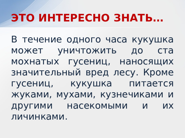 ЭТО ИНТЕРЕСНО ЗНАТЬ… В течение одного часа кукушка может уничтожить до ста мохнатых гусениц, наносящих значительный вред лесу. Кроме гусениц, кукушка питается жуками, мухами, кузнечиками и другими насекомыми и их личинками. 