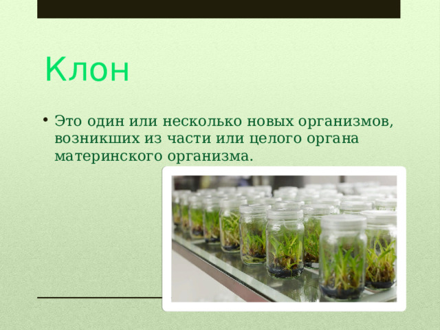 Клон Это один или несколько новых организмов, возникших из части или целого органа материнского организма. 