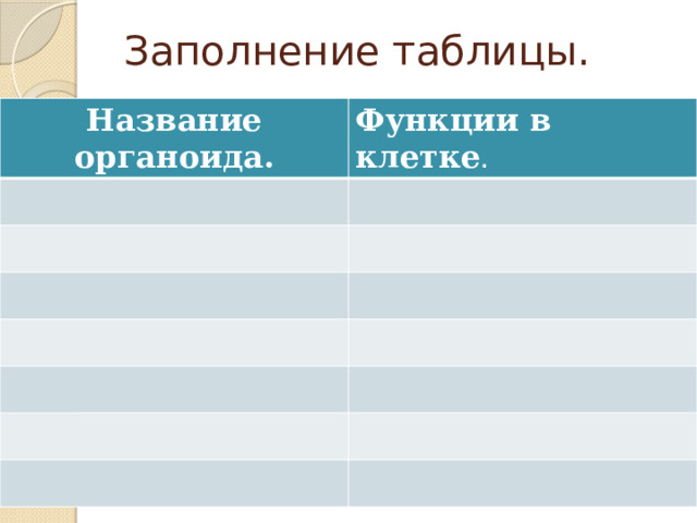 Заполнение таблицы. Название органоида. Функции в клетке . 