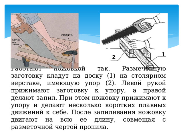 Работают ножовкой так. Размеченную заготовку кладут на доску (1) на столярном верстаке, имеющую упор (2). Левой рукой прижимают заготовку к упору, а правой делают запил. При этом ножовку прижимают к упору и делают несколько коротких плавных движений к себе. После запиливания ножовку двигают на всю ее длину, совмещая с разметочной чертой пропила.   