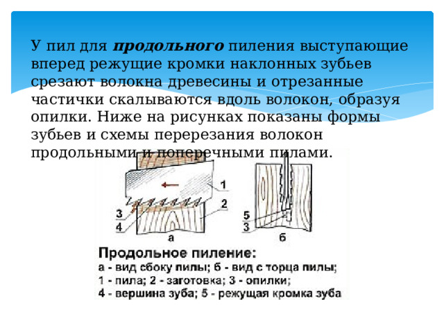 У пил для  продольного  пиления выступающие вперед режущие кромки наклонных зубьев срезают волокна древесины и отрезанные частички скалываются вдоль волокон, образуя опилки. Ниже на рисунках показаны формы зубьев и схемы перерезания волокон продольными и поперечными пилами. 