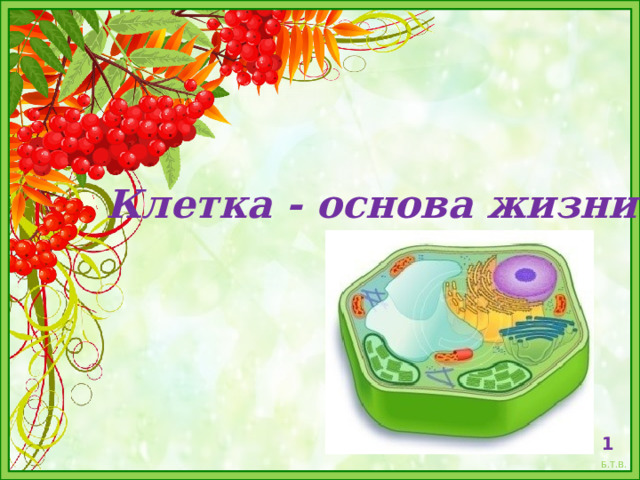 Клетка - основа жизни  