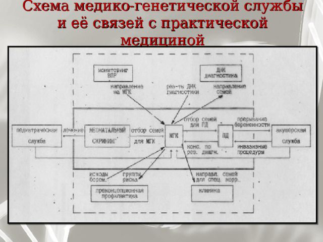 Схема медико-генетической службы и её связей с практической медициной 