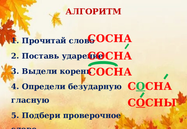 АЛГОРИТМ   1. Прочитай слово 2. Поставь ударение 3. Выдели корень 4. Определи безударную гласную 5. Подбери проверочное слово СОСНА СОСНА СОСНА С О СНА С О СНЫ 