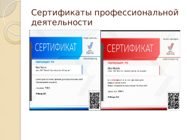 Сертификаты профессиональной деятельности 