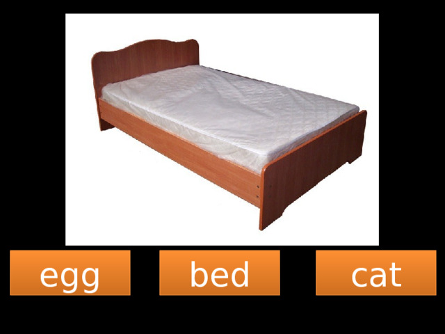 egg bed cat