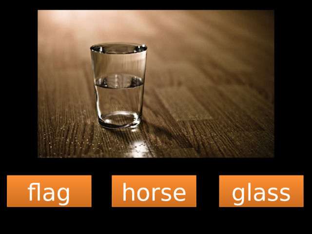 flag horse glass