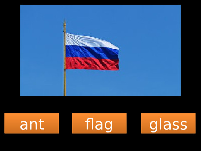 ant flag glass