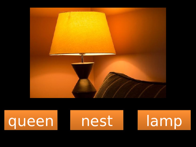 queen nest lamp