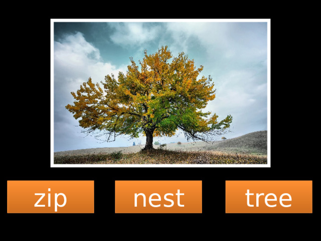 zip nest tree