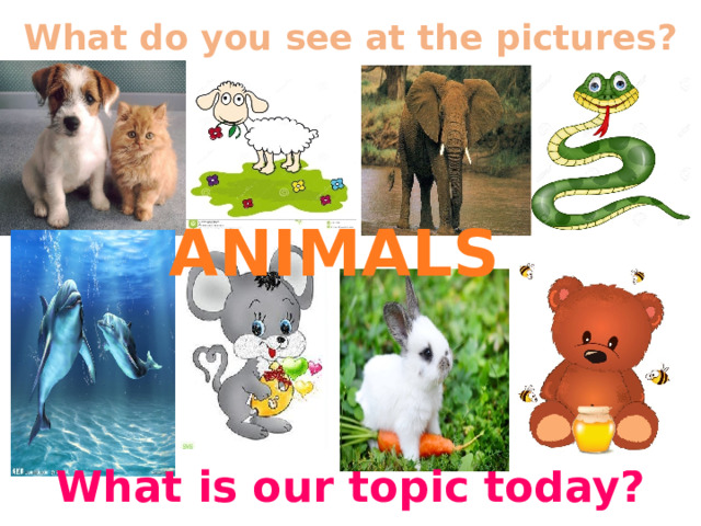 What do you see at the pictures? ANIMALS What is our topic today? 