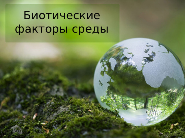 Биотические факторы среды 