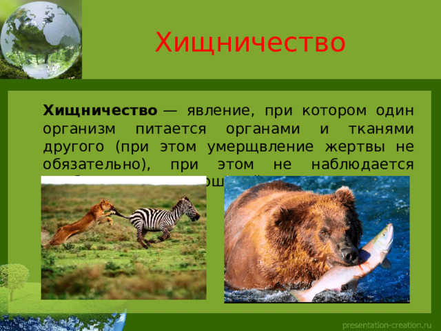 Хищничество  Хищничество  — явление, при котором один организм питается органами и тканями другого (при этом умерщвление жертвы не обязательно), при этом не наблюдается симбиотических отношений. 