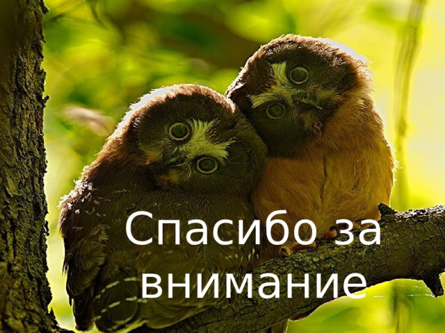 Спасибо за внимание 
