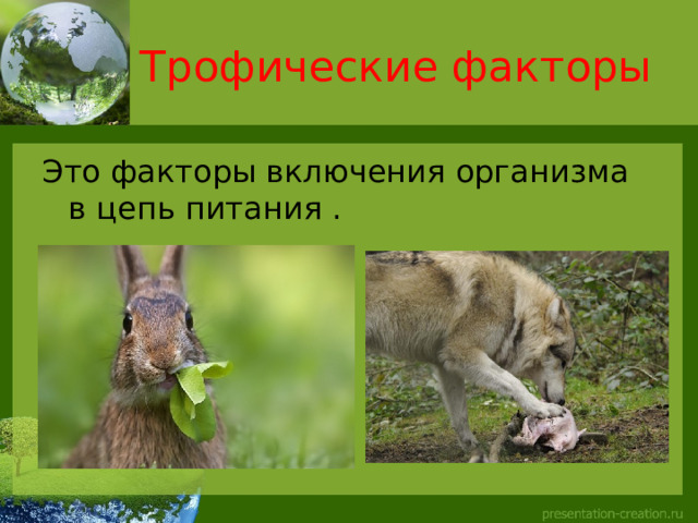 Трофические факторы Это факторы включения организма в цепь питания . 