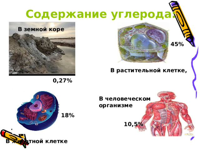 Содержание углерода: В земной коре 45% В растительной клетке, 0,27% В человеческом организме 18% 10,5% В животной клетке 