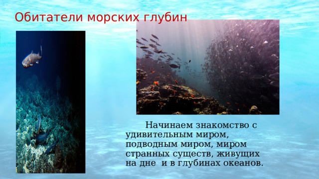 Обитатели  морских глубин  Начинаем знакомство с удивительным миром, подводным миром, миром странных существ, живущих на дне и в глубинах океанов. 