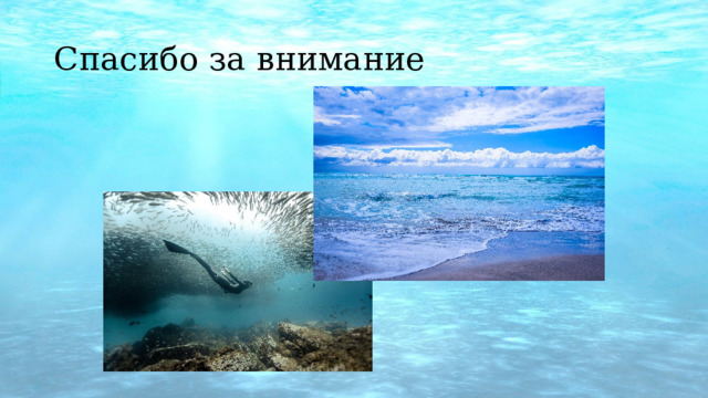 Спасибо за внимание 