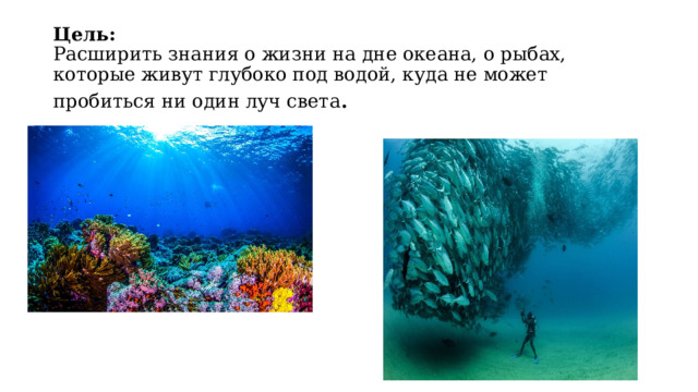 Цель:  Расширить знания о жизни на дне океана, о рыбах, которые живут глубоко под водой, куда не может пробиться ни один луч света .    