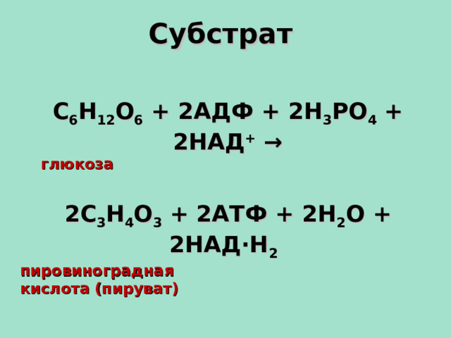 Субстрат С 6 Н 12 О 6 + 2АДФ + 2Н 3 РО 4 + 2НАД + →  глюкоза  2С 3 Н 4 О 3 + 2АТФ + 2Н 2 О + 2НАД·Н 2 пировиноградная кислота (пируват)  15 