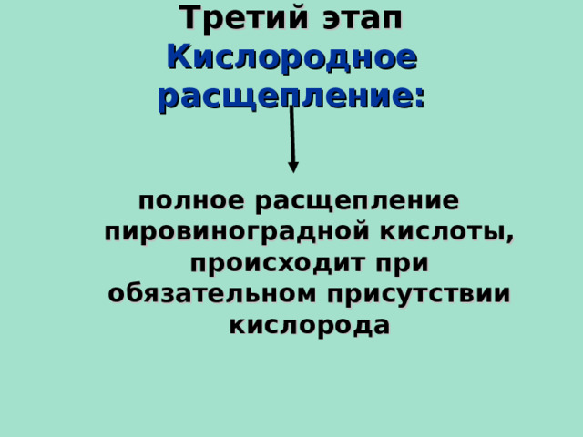 Третий этап  Кислородное расщепление: полное расщепление пировиноградной кислоты, происходит при обязательном присутствии кислорода  