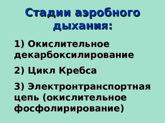 Стадии аэробного дыхания: 1) Окислительное декарбоксилирование  2) Цикл Кребса  3) Электронтранспортная цепь (окислительное фосфолирирование)  