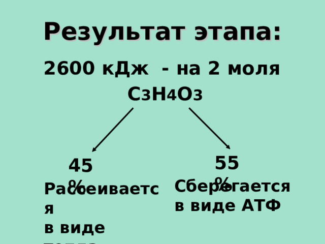 Результат этапа: 2600 кДж - на 2 моля С 3 Н 4 О 3    55%  45% Сберегается в виде АТФ  Рассеивается в виде тепла  