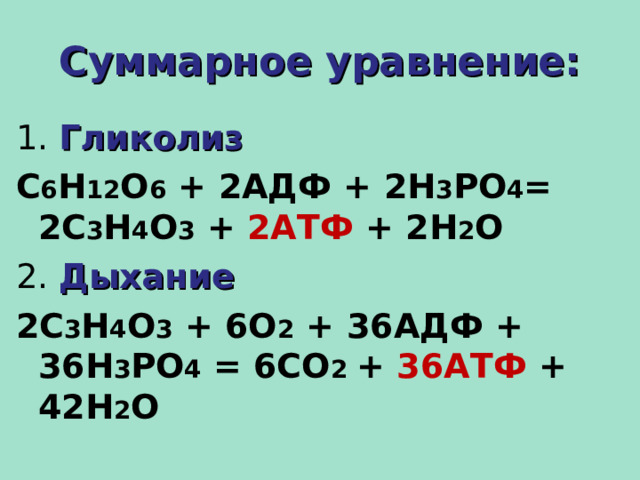 Суммарное уравнение: 1. Гликолиз С 6 Н 12 О 6 + 2АДФ + 2Н 3 РО 4 = 2С 3 Н 4 О 3 + 2АТФ + 2Н 2 О 2. Дыхание 2С 3 Н 4 О 3 + 6О 2 + 36АДФ + 36Н 3 РО 4 = 6СО 2 + 36АТФ + 42Н 2 О  