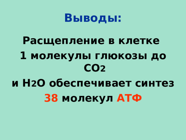 Выводы: Расщепление в клетке 1 молекулы глюкозы до СО 2  и Н 2 О обеспечивает синтез 38 молекул АТФ  