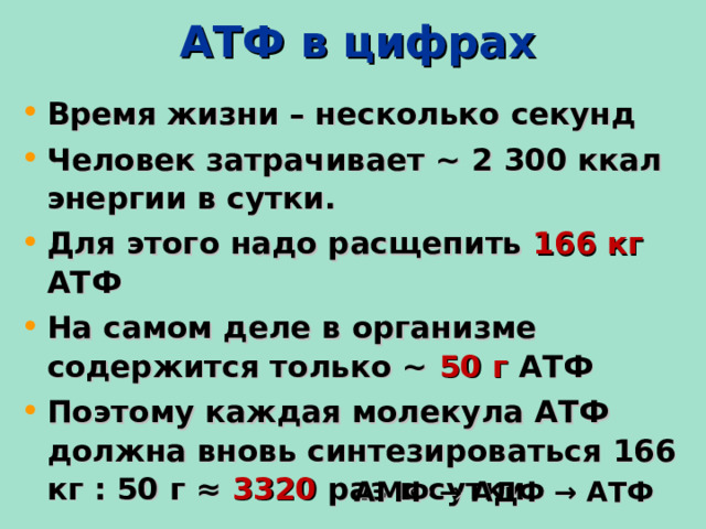  АТФ в цифрах Время жизни – несколько секунд Человек затрачивает ~ 2 300 ккал энергии в сутки. Для этого надо расщепить 166 кг АТФ На самом деле в организме содержится только ~ 50 г АТФ Поэтому каждая молекула АТФ должна вновь синтезироваться 166 кг : 50 г ≈  3320 раз в сутки. АМФ → АДФ → АТФ 5 