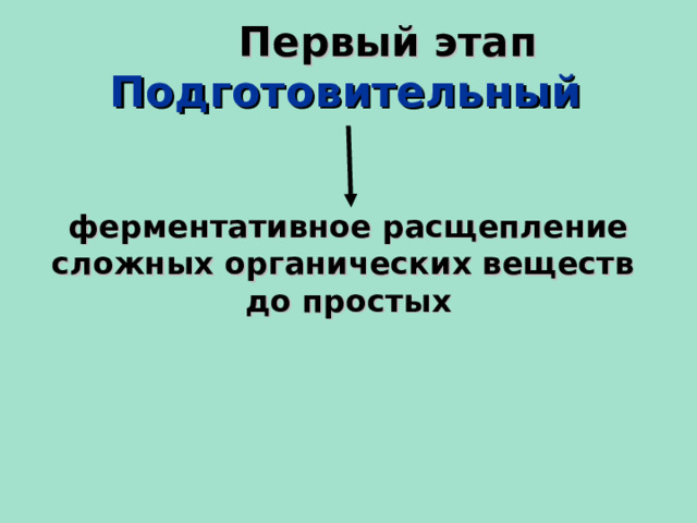  Первый этап Подготовительный ферментативное расщепление сложных органических веществ до простых  