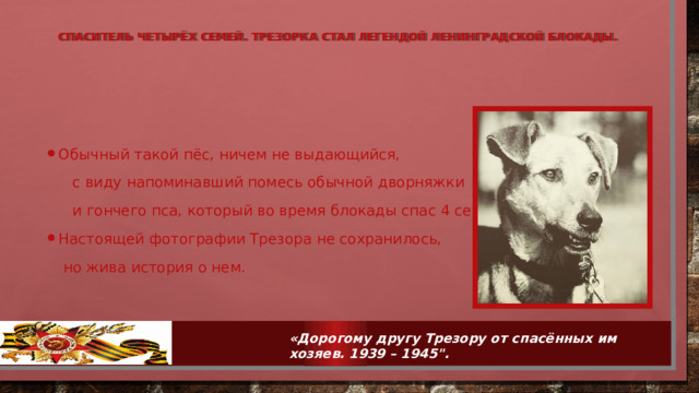   Спаситель четырёх семей. Трезорка стал легендой ленинградской блокады.    Обычный такой пёс, ничем не выдающийся,  с виду напоминавший помесь обычной дворняжки  и гончего пса, который во время блокады спас 4 семьи. Настоящей фотографии Трезора не сохранилось,  но жива история о нем.  «Дорогому другу Трезору от спасённых им хозяев. 1939 – 1945