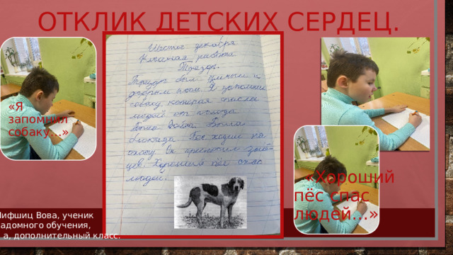 Отклик детских сердец. «Я запомнил собаку…»  «Хороший пёс спас людей…» Лифшиц Вова, ученик надомного обучения, 1 а, дополнительный класс. 