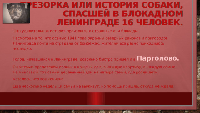 Трезорка или история собаки, спасшей в блокадном Ленинграде 16 человек.    Эта удивительная история произошла в страшные дни блокады. Несмотря на то, что осенью 1941 года окраины северных районов и пригородов Ленинграда почти не страдали от бомбёжек, жителям все равно приходилось несладко. Голод, начавшийся в Ленинграде, довольно быстро пришел и в Парголово. Он хитрым предателем проник в каждый дом, в каждую квартиру, в каждую семью. Не миновал и тот самый деревянный дом на четыре семьи, где росли дети. Казалось, что все кончено. Еще несколько недель...и семьи не выживут, но помощь пришла, откуда не ждали. 