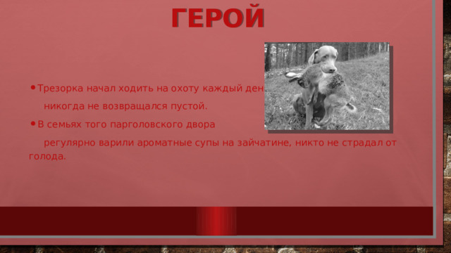 Герой   Трезорка начал ходить на охоту каждый день и  никогда не возвращался пустой.  В семьях того парголовского двора  регулярно варили ароматные супы на зайчатине, никто не страдал от голода. 