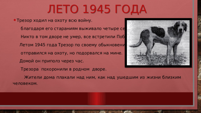 Лето 1945 года Трезор ходил на охоту всю войну.  благодаря его стараниям выживало четыре семьи.  Никто в том дворе не умер, все встретили Победу!  Летом 1945 года Трезор по своему обыкновению  отправился на охоту, но подорвался на мине.  Домой он приполз через час.   Трезора похоронили в родном дворе.  Жители дома плакали над ним, как над ушедшим из жизни близким человеком.  