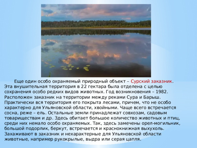 Еще один особо охраняемый природный объект – Сурский заказник . Эта внушительная территория в 22 гектара была отделена с целью сохранения особо редких видов животных. Год возникновения – 1982. Расположен заказник на территории между реками Сура и Барыш. Практически вся территория его покрыта лесами, причем, что не особо характерно для Ульяновской области, хвойными. Чаще всего встречается сосна, реже – ель. Остальные земли принадлежат совхозам, садовым товариществам и др. Здесь обитает большое количество животных и птиц, среди них немало особо охраняемых. Так, здесь замечены орел-могильник, большой подорлик, беркут, встречается и краснокнижная выхухоль. Захаживают в заказник и нехарактерные для Ульяновской области животные, например рукокрылые, выдра или серая цапля. 