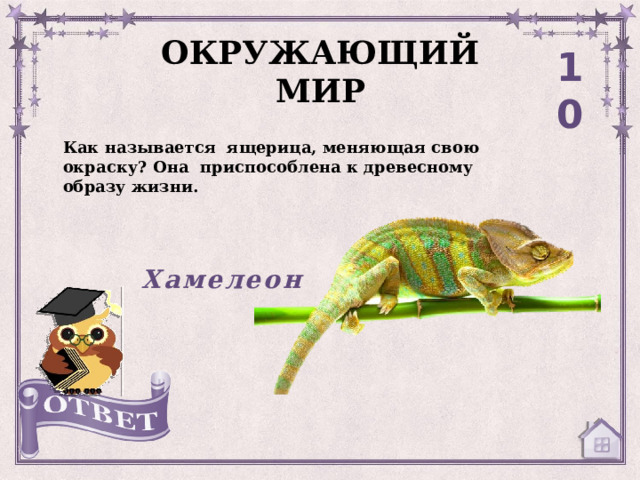 ОКРУЖАЮЩИЙ МИР 10 Как называется ящерица, меняющая свою окраску? Она приспособлена к древесному образу жизни. Хамелеон 
