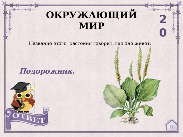 ОКРУЖАЮЩИЙ МИР 20 Название этого растения говорит, где оно живет. Подорожник. 
