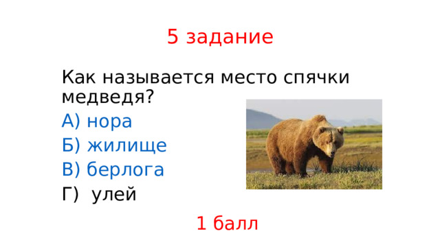 5 задание Как называется место спячки медведя? А) нора Б) жилище В) берлога Г) улей 1 балл 