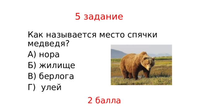 5 задание Как называется место спячки медведя? А) нора Б) жилище В) берлога Г) улей 2 балла 