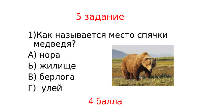 5 задание Как называется место спячки медведя? А) нора Б) жилище В) берлога Г) улей 4 балла 