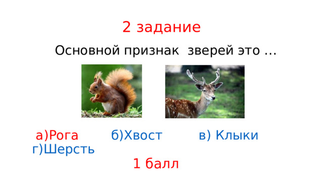 2 задание  Основной признак зверей это …  а)Рога  б)Хвост  в) Клыки   г)Шерсть 1 балл 