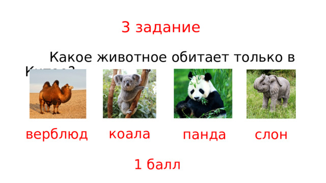 3 задание  Какое животное обитает только в Китае? коала верблюд панда слон 1 балл 