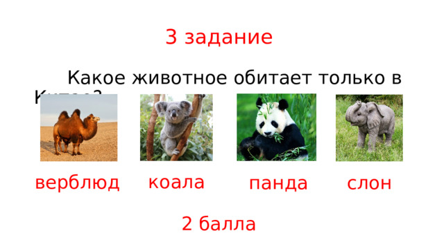 3 задание  Какое животное обитает только в Китае? коала верблюд панда слон 2 балла 