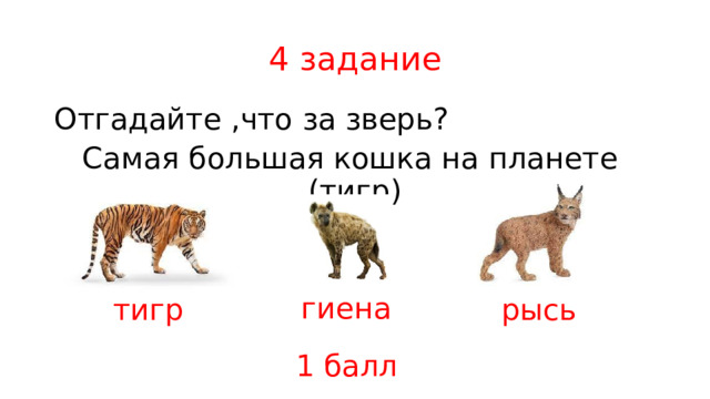 4 задание Отгадайте ,что за зверь? Самая большая кошка на планете (тигр) гиена тигр рысь 1 балл 