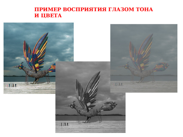 ПРИМЕР ВОСПРИЯТИЯ ГЛАЗОМ ТОНА И ЦВЕТА 