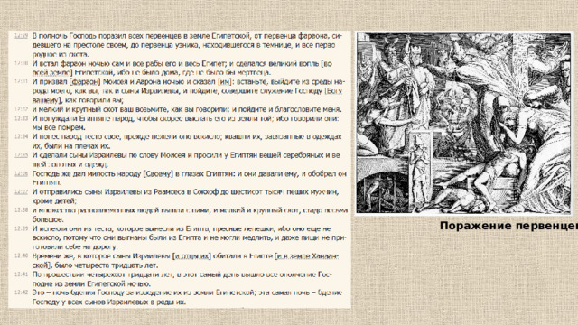 Поражение первенцев 