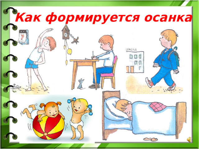 Как формируется осанка 